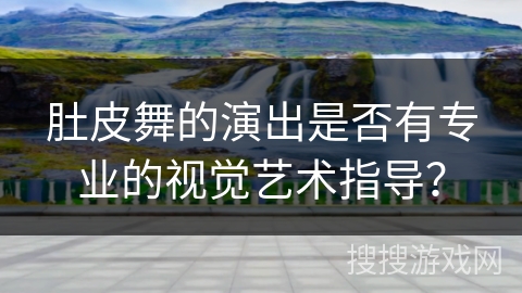 肚皮舞的演出是否有专业的视觉艺术指导？