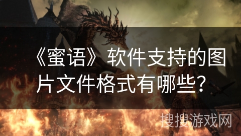 《蜜语》软件支持的图片文件格式有哪些？