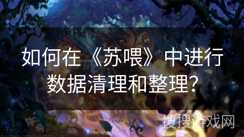 如何在《苏喂》中进行数据清理和整理? 如何在《苏喂》中进行数据清理和整理?