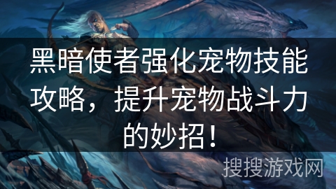黑暗使者强化宠物技能攻略，提升宠物战斗力的妙招！