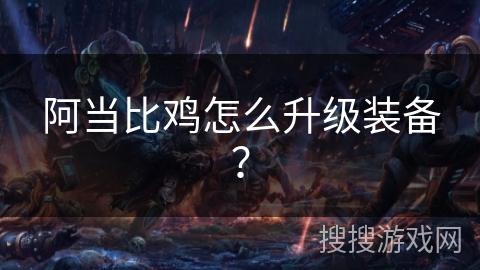 阿当比鸡怎么升级装备？