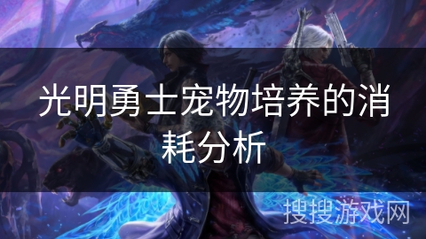 光明勇士宠物培养的消耗分析