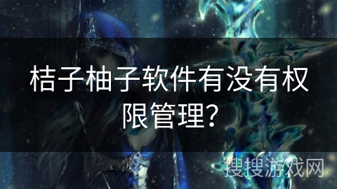 桔子柚子软件有没有权限管理？