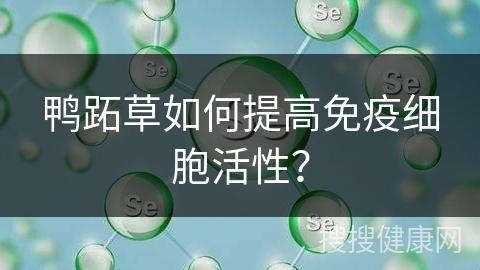 鸭跖草如何提高免疫细胞活性？