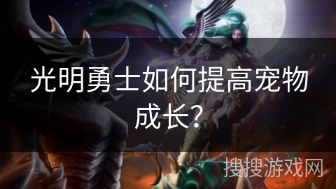 光明勇士如何提高宠物成长？