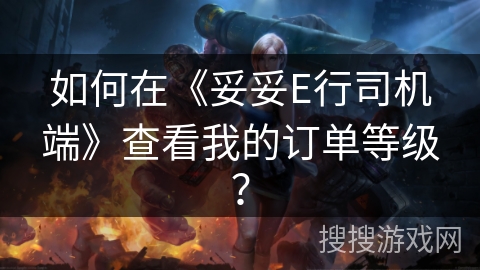 如何在《妥妥E行司机端》查看我的订单等级？