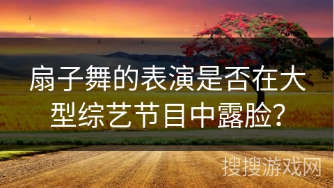 扇子舞的表演是否在大型综艺节目中露脸？