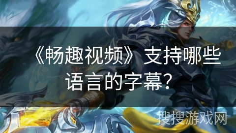 《畅趣视频》支持哪些语言的字幕？