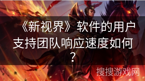 《新视界》软件的用户支持团队响应速度如何？