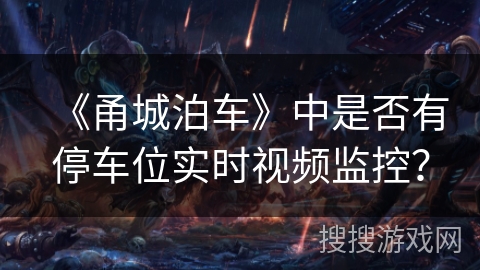 《甬城泊车》中是否有停车位实时视频监控？