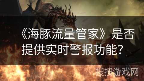 《海豚流量管家》是否提供实时警报功能？