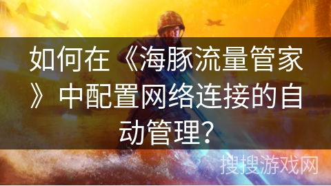 如何在《海豚流量管家》中配置网络连接的自动管理？