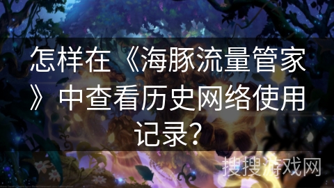 怎样在《海豚流量管家》中查看历史网络使用记录？