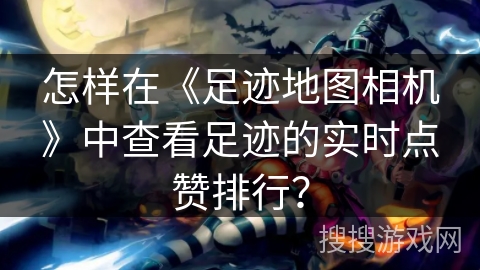 怎样在《足迹地图相机》中查看足迹的实时点赞排行？