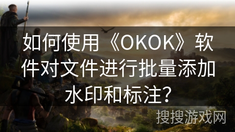 如何使用《OKOK》软件对文件进行批量添加水印和标注？