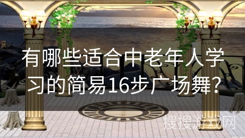 有哪些适合中老年人学习的简易16步广场舞？