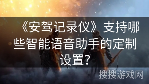 《安驾记录仪》支持哪些智能语音助手的定制设置？
