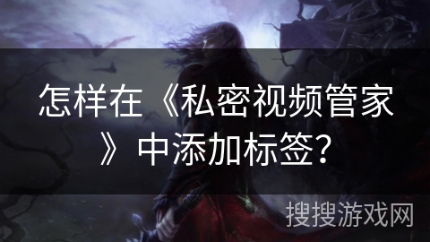 怎样在《私密视频管家》中添加标签？