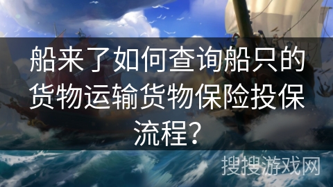 船来了如何查询船只的货物运输货物保险投保流程？