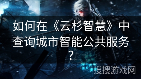 如何在《云杉智慧》中查询城市智能公共服务？