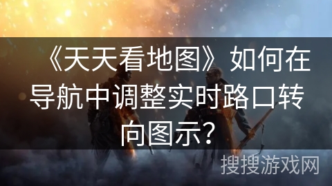 《天天看地图》如何在导航中调整实时路口转向图示？