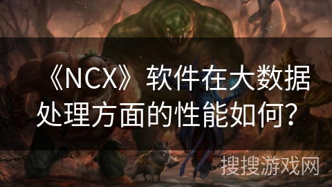 《NCX》软件在大数据处理方面的性能如何？