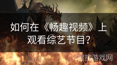 如何在《畅趣视频》上观看综艺节目？