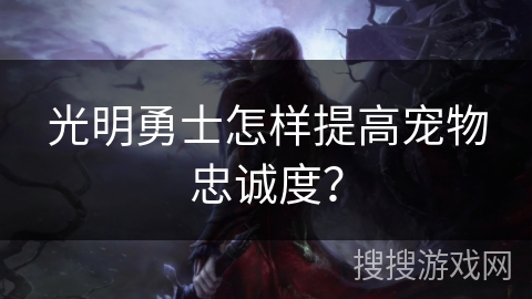 光明勇士怎样提高宠物忠诚度？