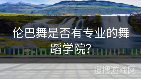 伦巴舞是否有专业的舞蹈学院？