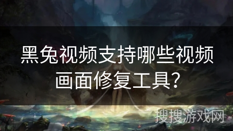 黑兔视频支持哪些视频画面修复工具？