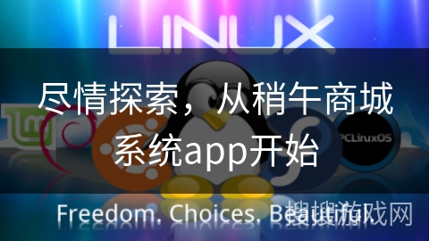 尽情探索，从稍午商城系统app开始