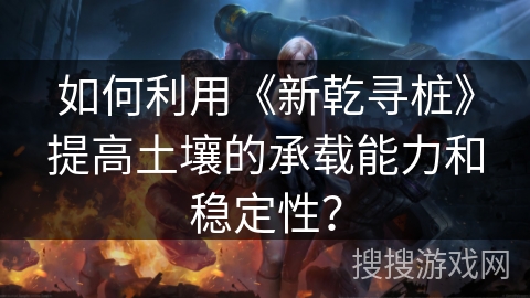如何利用《新乾寻桩》提高土壤的承载能力和稳定性？