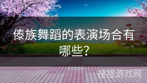 傣族舞蹈的表演场合有哪些？