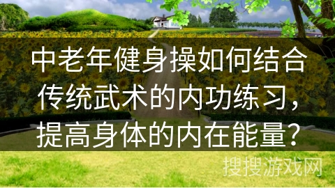 中老年健身操如何结合传统武术的内功练习,提高身体的内在能量? 中老年健身操如何结合传统武术的内功练习,提高身体的内在能量?