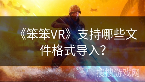 《笨笨VR》支持哪些文件格式导入？