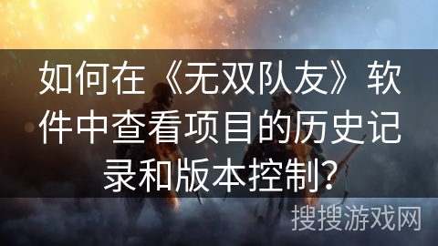 如何在《无双队友》软件中查看项目的历史记录和版本控制？