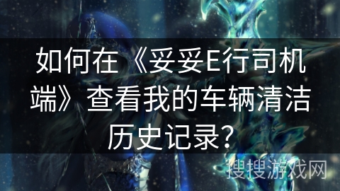 如何在《妥妥E行司机端》查看我的车辆清洁历史记录？