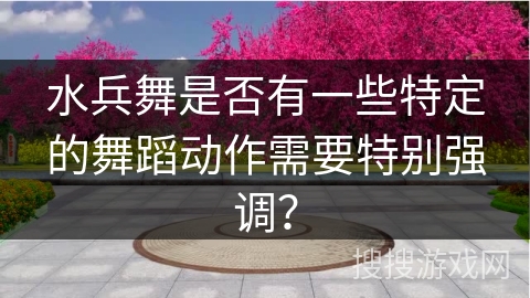 水兵舞是否有一些特定的舞蹈动作需要特别强调？