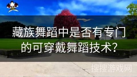藏族舞蹈中是否有专门的可穿戴舞蹈技术？