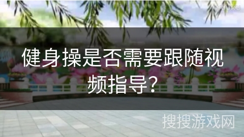 健身操是否需要跟随视频指导？