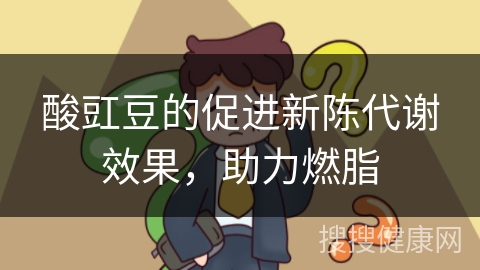 酸豇豆的促进新陈代谢效果，助力燃脂