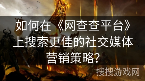 如何在《网查查平台》上搜索更佳的社交媒体营销策略？