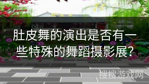 肚皮舞的演出是否有一些特殊的舞蹈摄影展？