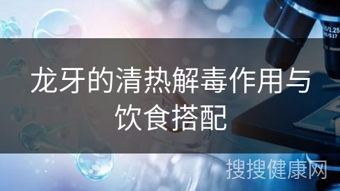 龙牙的清热解毒作用与饮食搭配