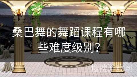 桑巴舞的舞蹈课程有哪些难度级别？