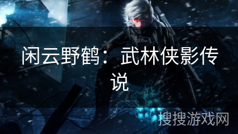 闲云野鹤：武林侠影传说