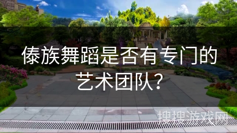 傣族舞蹈是否有专门的艺术团队？