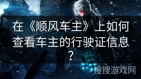 在《顺风车主》上如何查看车主的行驶证信息？