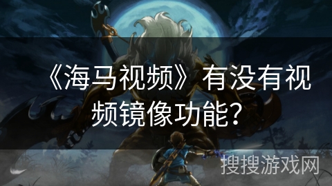 《海马视频》有没有视频镜像功能？