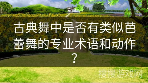 古典舞中是否有类似芭蕾舞的专业术语和动作？